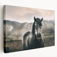 Farmhouse Wall Art: Majestic Horse for Rustic Country Farmhouse Decor
