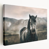 Farmhouse Wall Art: Majestic Horse for Rustic Country Farmhouse Decor