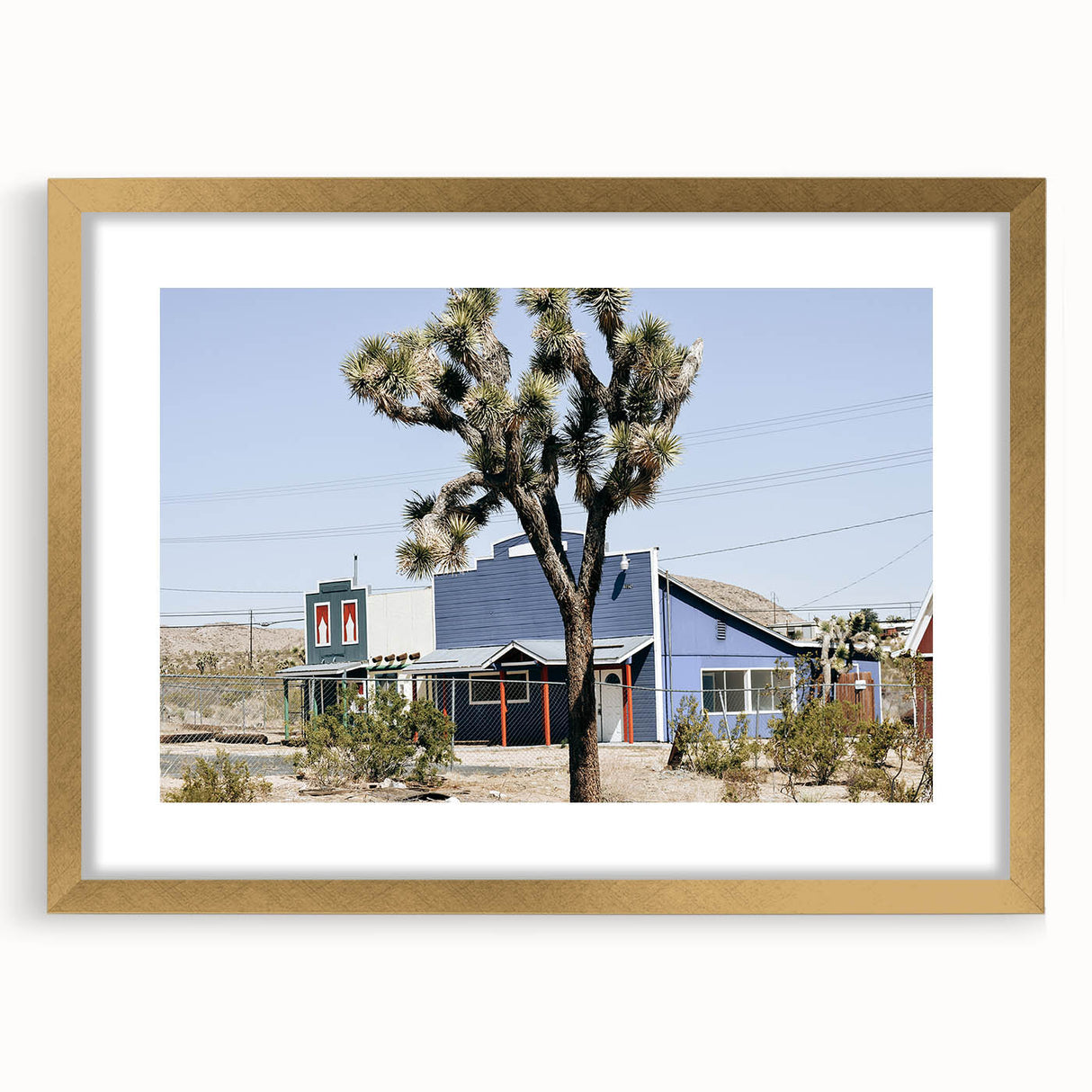 Farmhouse Wall Art: Desert Architecture with Joshua Tree for Rustic Decor