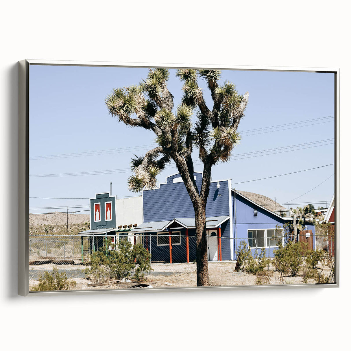 Farmhouse Wall Art: Desert Architecture with Joshua Tree for Rustic Decor