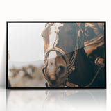 Country Style Horse Wall Art - Rustic Farmhouse Decor for Country Homes