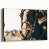 Country Style Horse Wall Art - Rustic Farmhouse Decor for Country Homes