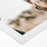 Country Style Horse Wall Art - Rustic Farmhouse Decor for Country Homes