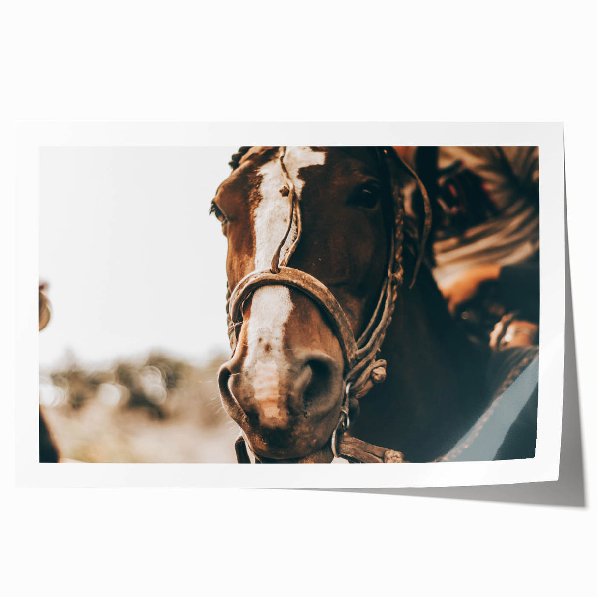 Country Style Horse Wall Art - Rustic Farmhouse Decor for Country Homes