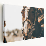 Country Style Horse Wall Art - Rustic Farmhouse Decor for Country Homes