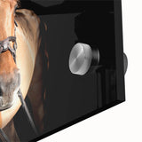 Majestic Horse Farmhouse Wall Art – Rustic Country Style Decor Piece