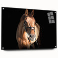Majestic Horse Farmhouse Wall Art – Rustic Country Style Decor Piece
