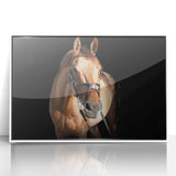 Majestic Horse Farmhouse Wall Art – Rustic Country Style Decor Piece