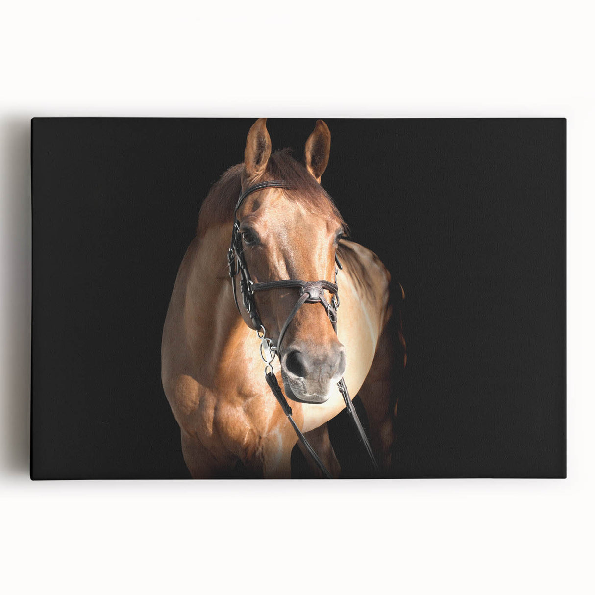 Majestic Horse Farmhouse Wall Art – Rustic Country Style Decor Piece