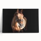 Majestic Horse Farmhouse Wall Art – Rustic Country Style Decor Piece