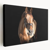 Majestic Horse Farmhouse Wall Art – Rustic Country Style Decor Piece