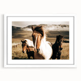 Farmhouse Horses Wall Art – Rustic Country Style Decor for Home