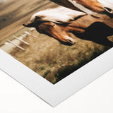 Farmhouse Horses Wall Art – Rustic Country Style Decor for Home