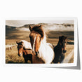 Farmhouse Horses Wall Art – Rustic Country Style Decor for Home