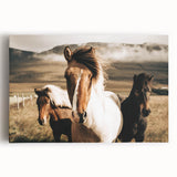Farmhouse Horses Wall Art – Rustic Country Style Decor for Home
