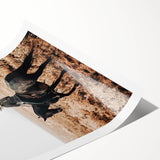 Farmhouse Wall Art - Cowboy Riding Horse Rustic Country Style Decor