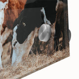 Farmhouse Cattle Wall Art – Rustic Country Style Decor for Home