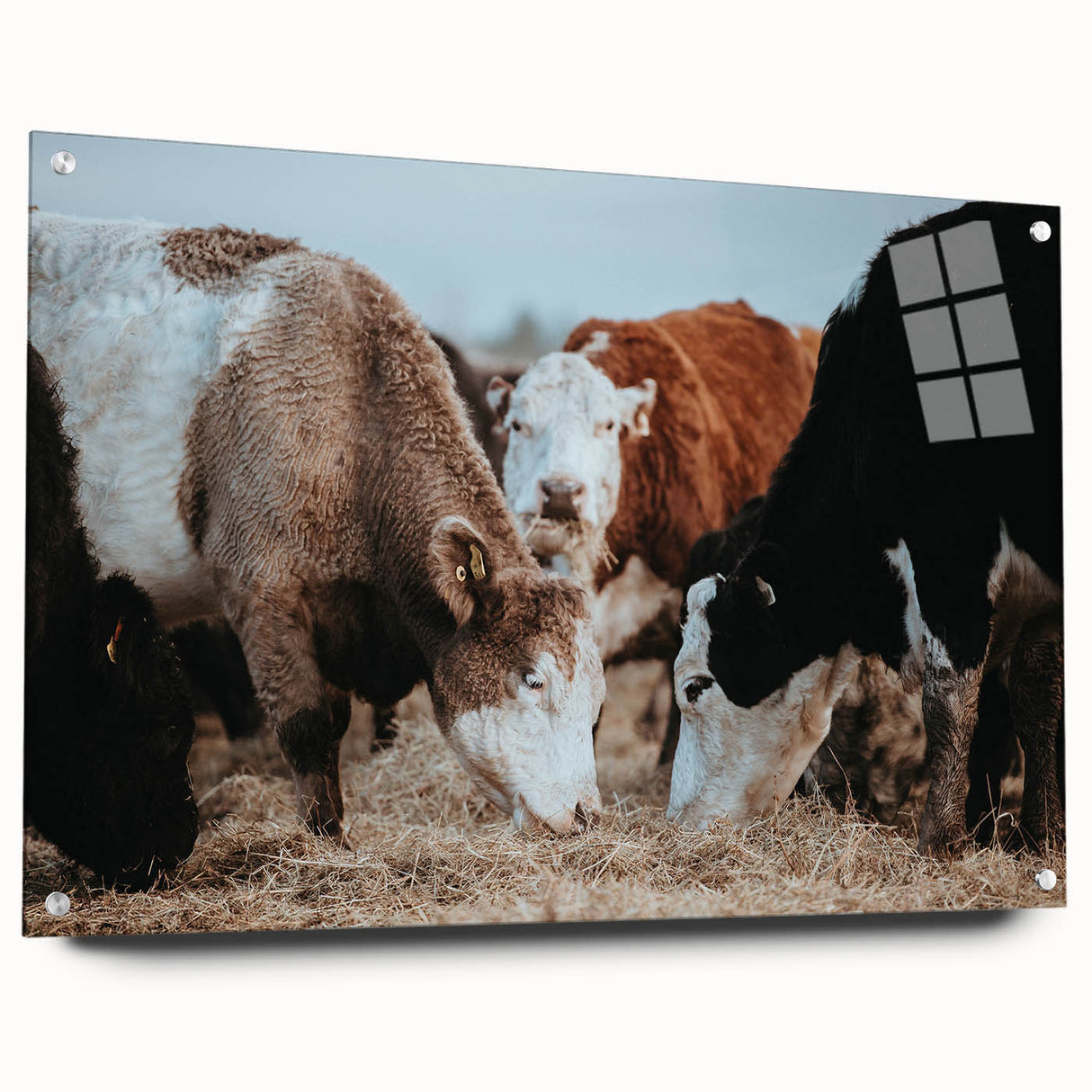 Farmhouse Cattle Wall Art – Rustic Country Style Decor for Home