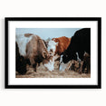 Farmhouse Cattle Wall Art – Rustic Country Style Decor for Home