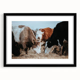 Farmhouse Cattle Wall Art – Rustic Country Style Decor for Home