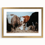 Farmhouse Cattle Wall Art – Rustic Country Style Decor for Home