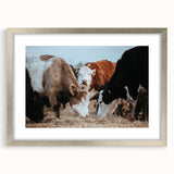 Farmhouse Cattle Wall Art – Rustic Country Style Decor for Home