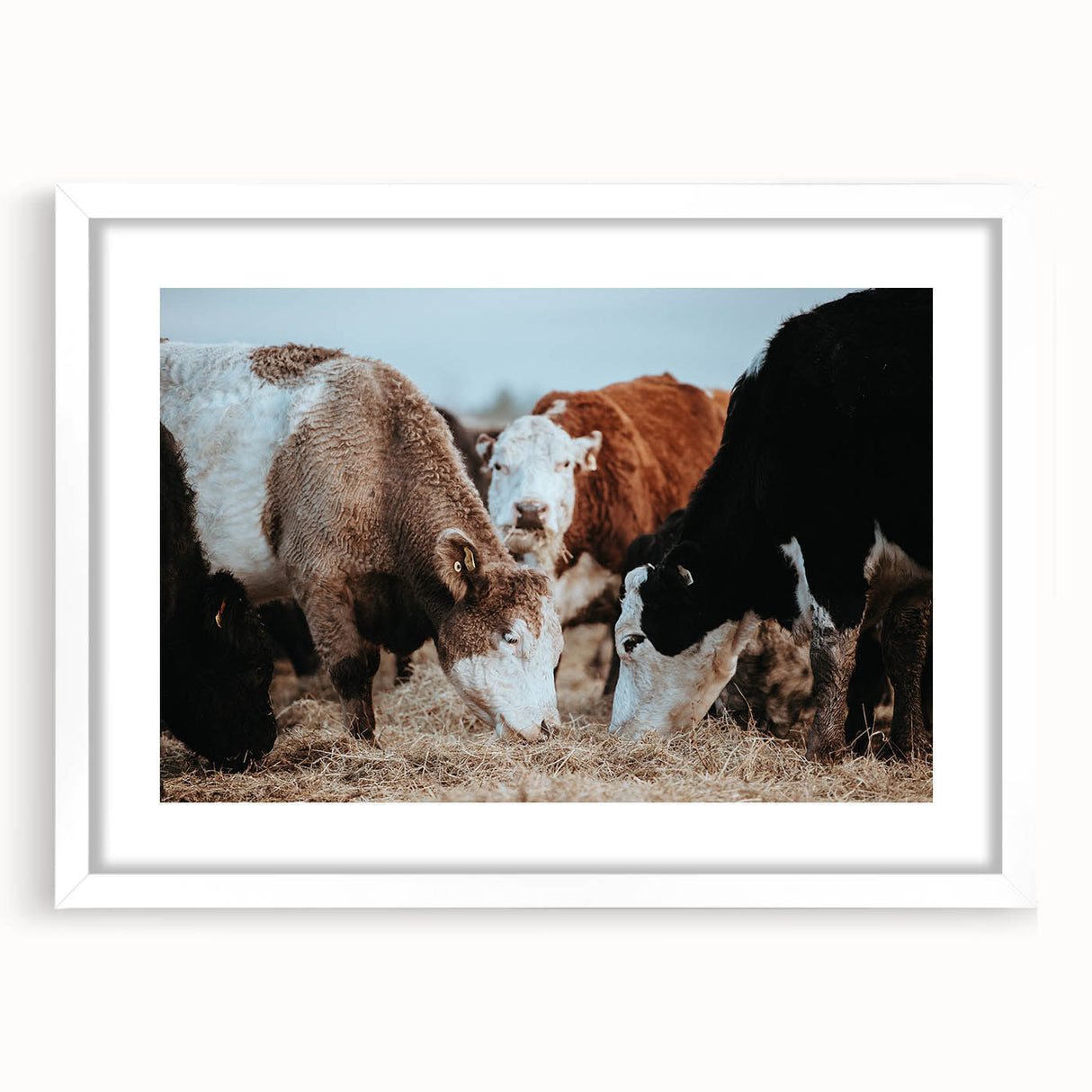 Farmhouse Cattle Wall Art – Rustic Country Style Decor for Home