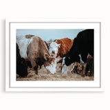 Farmhouse Cattle Wall Art – Rustic Country Style Decor for Home