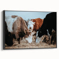 Farmhouse Cattle Wall Art – Rustic Country Style Decor for Home