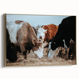 Farmhouse Cattle Wall Art – Rustic Country Style Decor for Home
