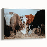 Farmhouse Cattle Wall Art – Rustic Country Style Decor for Home