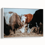 Farmhouse Cattle Wall Art – Rustic Country Style Decor for Home
