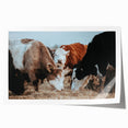 Farmhouse Cattle Wall Art – Rustic Country Style Decor for Home