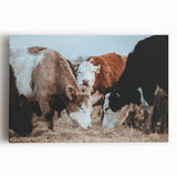 Farmhouse Cattle Wall Art – Rustic Country Style Decor for Home