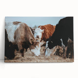 Farmhouse Cattle Wall Art – Rustic Country Style Decor for Home