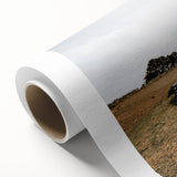 Open Fields Farmhouse Wall Art – Rustic Country Landscape Decor