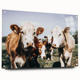 Farmhouse Cows Wall Art – Rustic Country Style Decor for Home