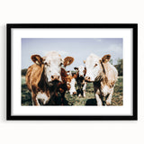 Farmhouse Cows Wall Art – Rustic Country Style Decor for Home