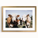 Farmhouse Cows Wall Art – Rustic Country Style Decor for Home