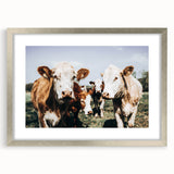 Farmhouse Cows Wall Art – Rustic Country Style Decor for Home