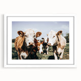 Farmhouse Cows Wall Art – Rustic Country Style Decor for Home