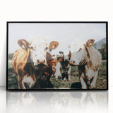Farmhouse Cows Wall Art – Rustic Country Style Decor for Home