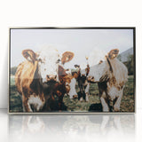 Farmhouse Cows Wall Art – Rustic Country Style Decor for Home