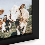 Farmhouse Cows Wall Art – Rustic Country Style Decor for Home