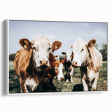 Farmhouse Cows Wall Art – Rustic Country Style Decor for Home