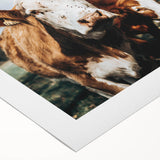 Farmhouse Cows Wall Art – Rustic Country Style Decor for Home