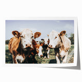 Farmhouse Cows Wall Art – Rustic Country Style Decor for Home