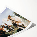 Farmhouse Cows Wall Art – Rustic Country Style Decor for Home