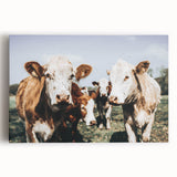 Farmhouse Cows Wall Art – Rustic Country Style Decor for Home
