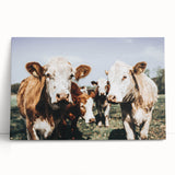 Farmhouse Cows Wall Art – Rustic Country Style Decor for Home